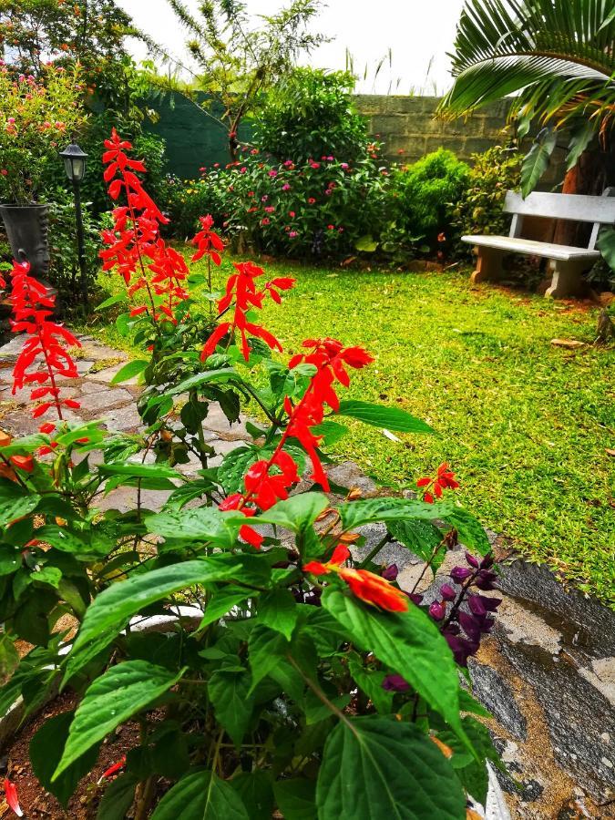 Barefoot Inn Kandy Luaran gambar